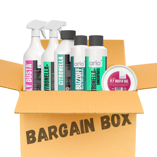 Summer Bargain Box